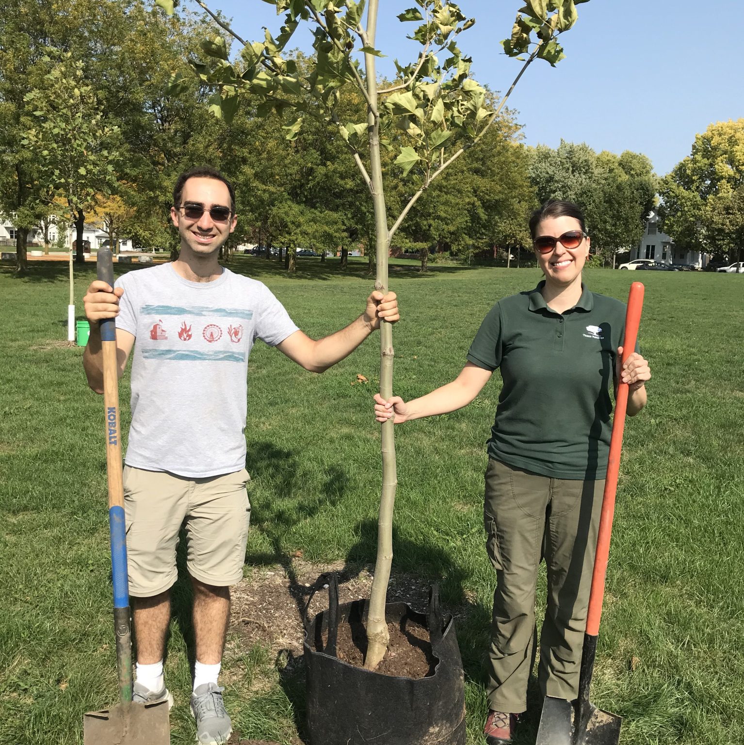 How To Plant A Tree Trees Forever