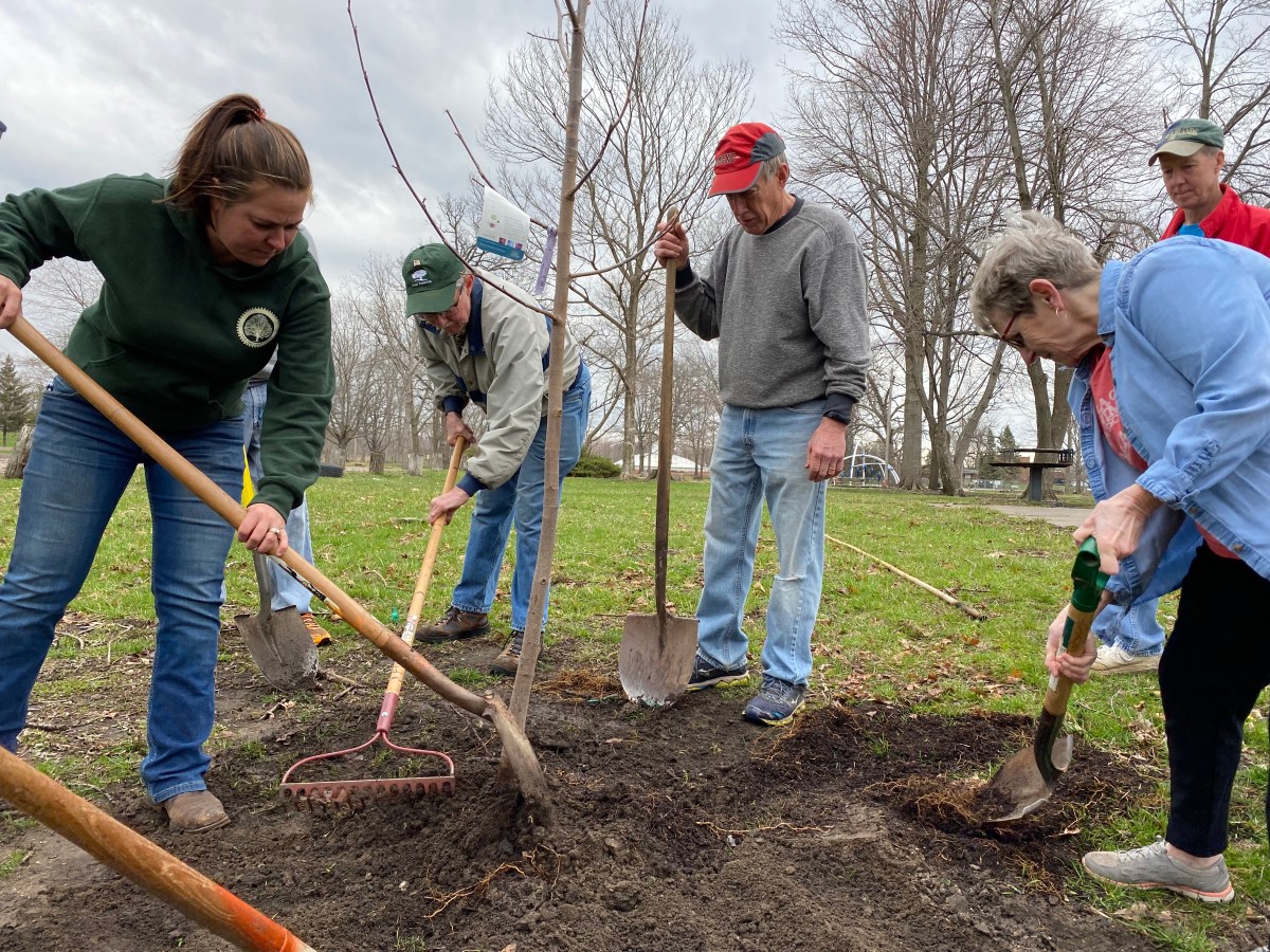 Awards Trees Forever