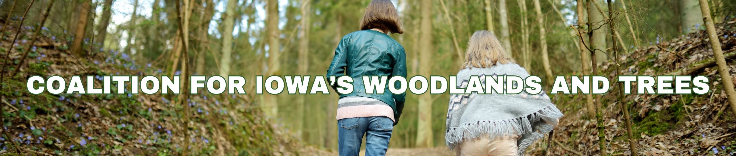 Coalition for Iowa’s Woodlands and Trees Trees Forever