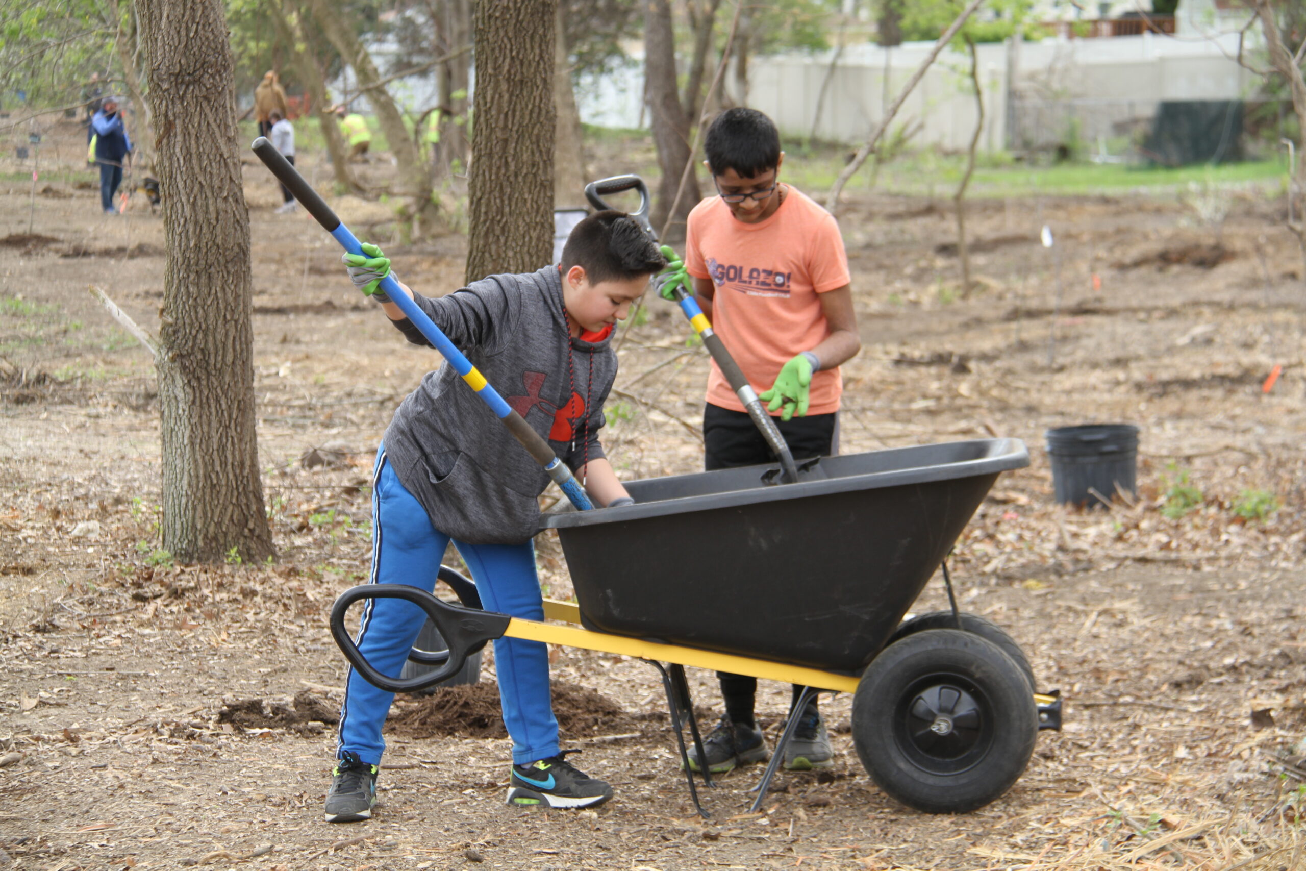 Two boys shovelling soil into a wheelbarrow at a tree-planting site.