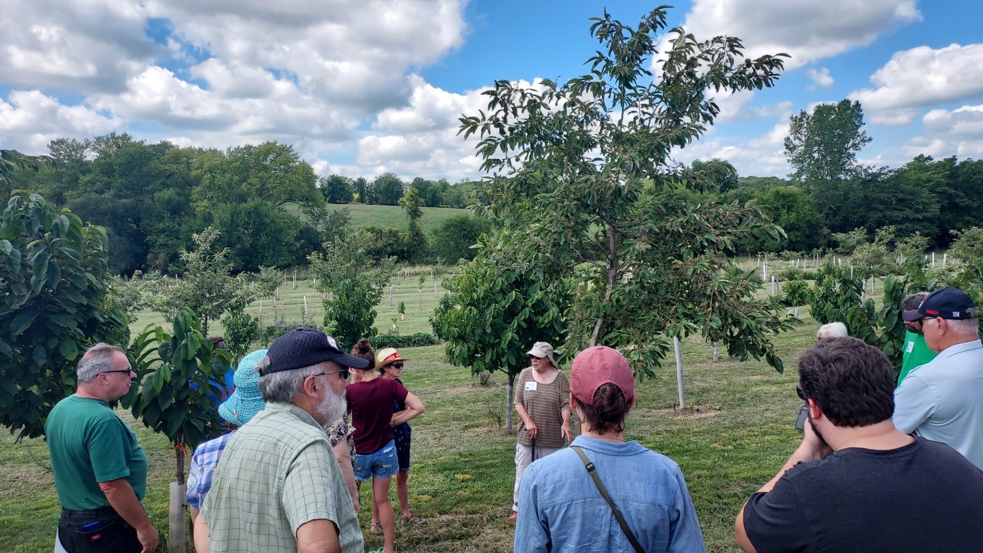 Participants on a field tour standing among rows of young orchard trees on a hillside.