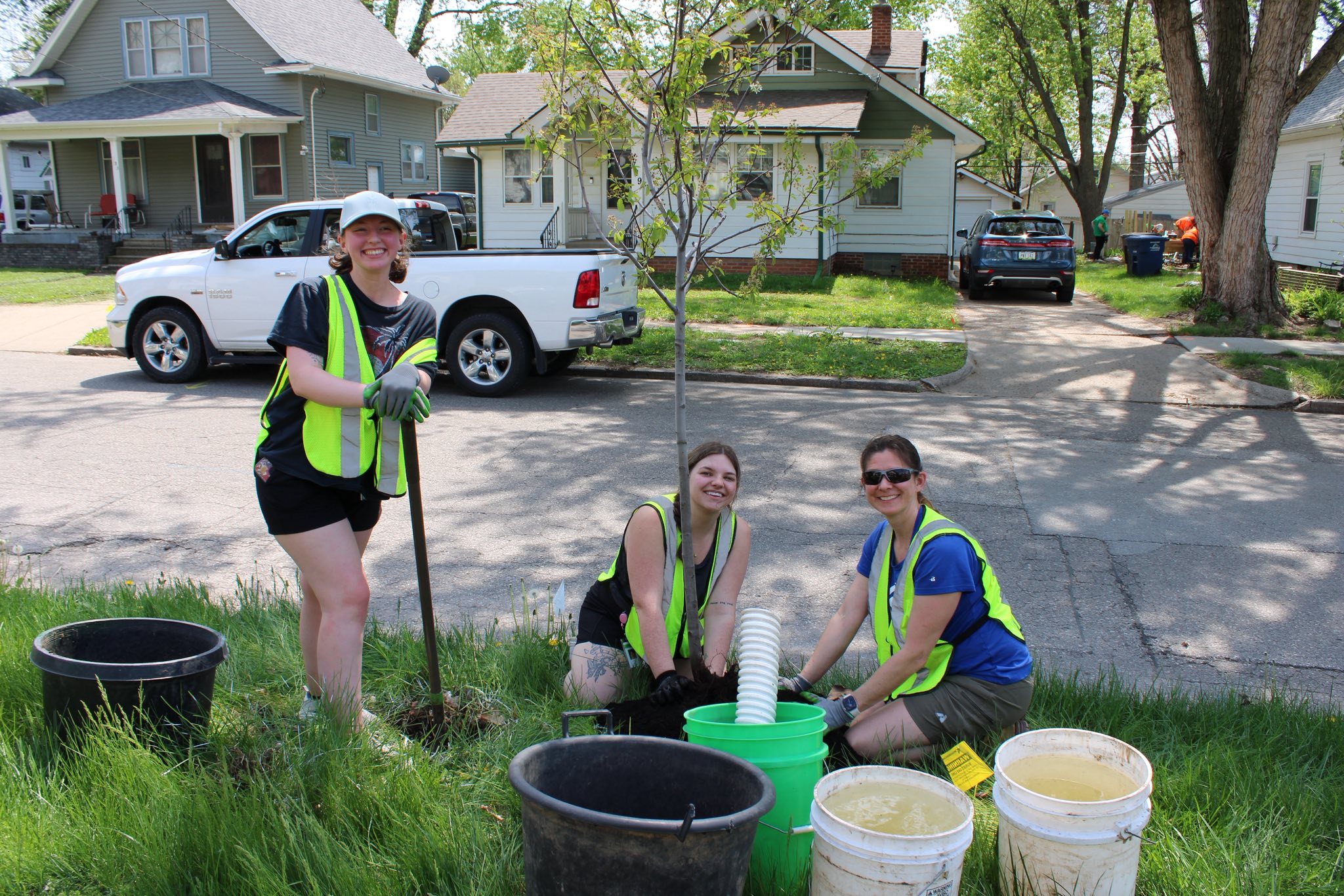 Three volunteers in safety vests planting a young street tree, with watering buckets in the foreground.