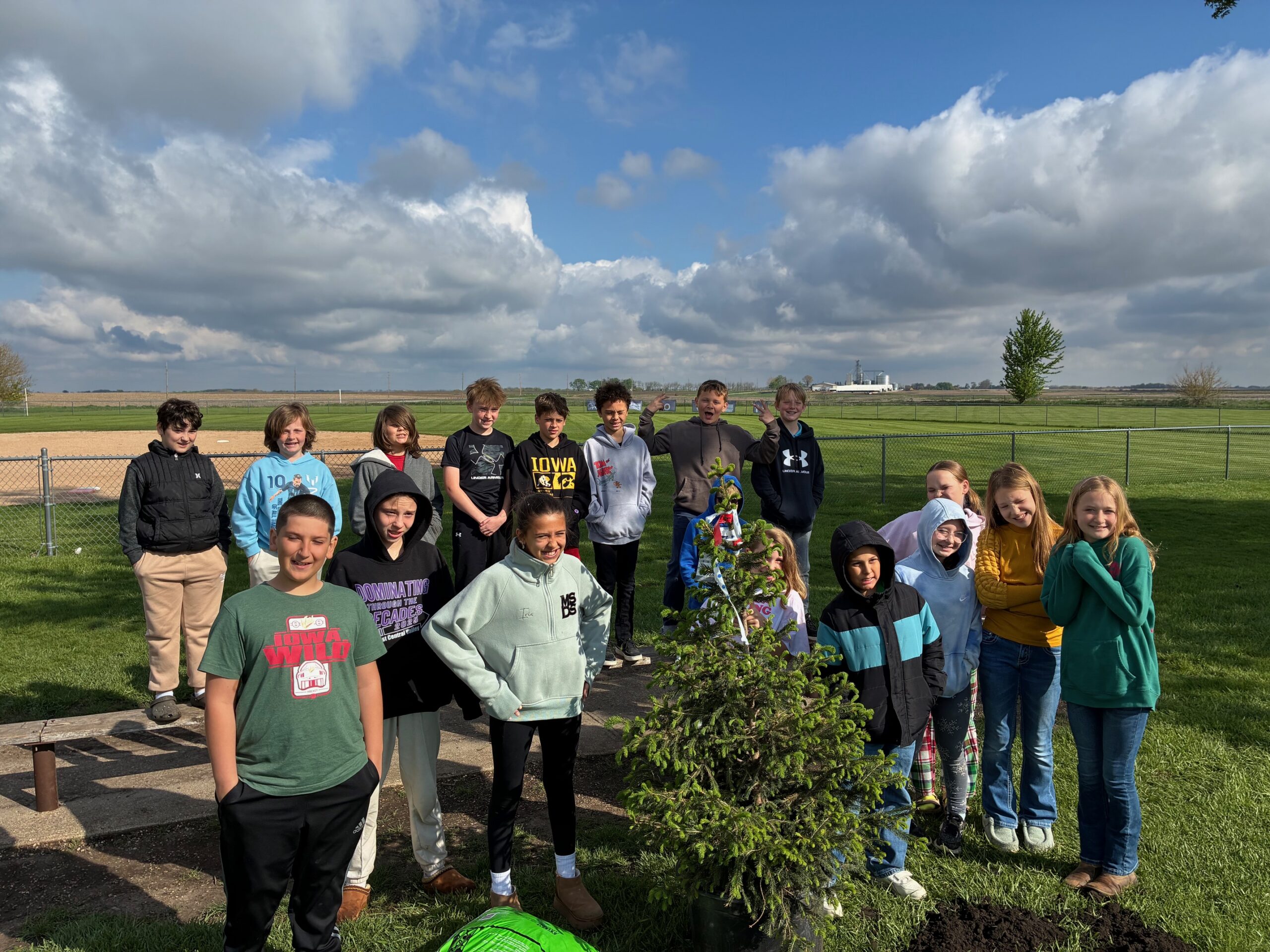 A class of schoolchildren gathered around a newly planted evergreen sapling on a school field.